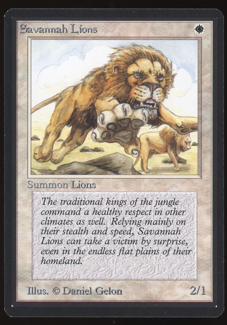 Savannah Lions - NM _11263