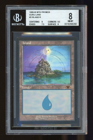 BGS 8 Island -268