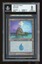 BGS 8 Island -268