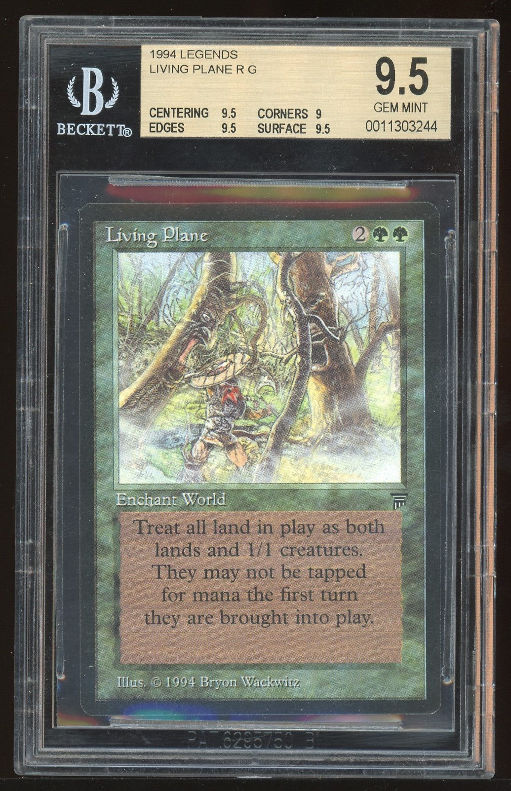 BGS 9.5 Living Plane -244