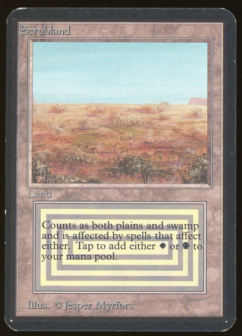 Scrubland - MP _11984