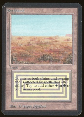 Scrubland - MP _11984