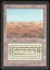 Scrubland - MP _11984