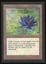 Black Lotus - LP _13380
