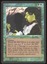 Ifh-Biff Efreet - LP _12495