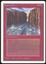 Raging River - NM _10398