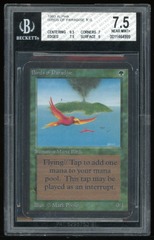 BGS 7.5 Birds of Paradise -999