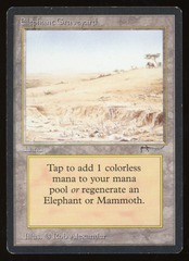 Elephant Graveyard - MP _13581