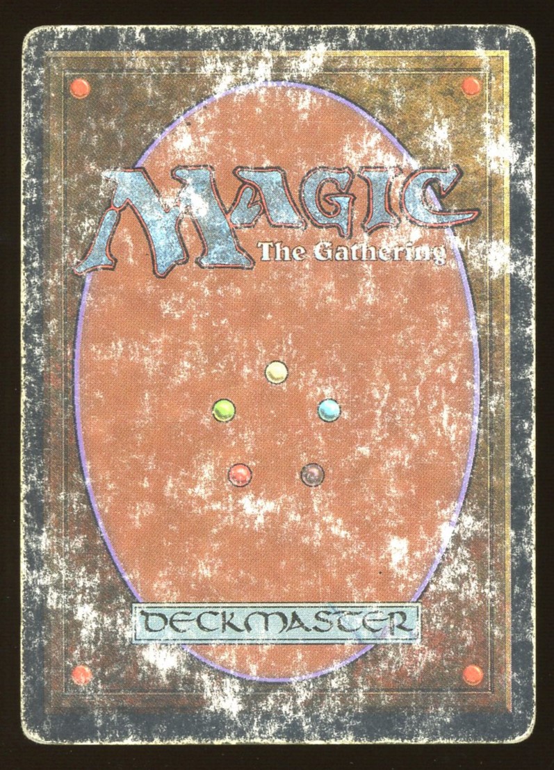 Taiga - DMG _12469