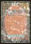Taiga - DMG _12469