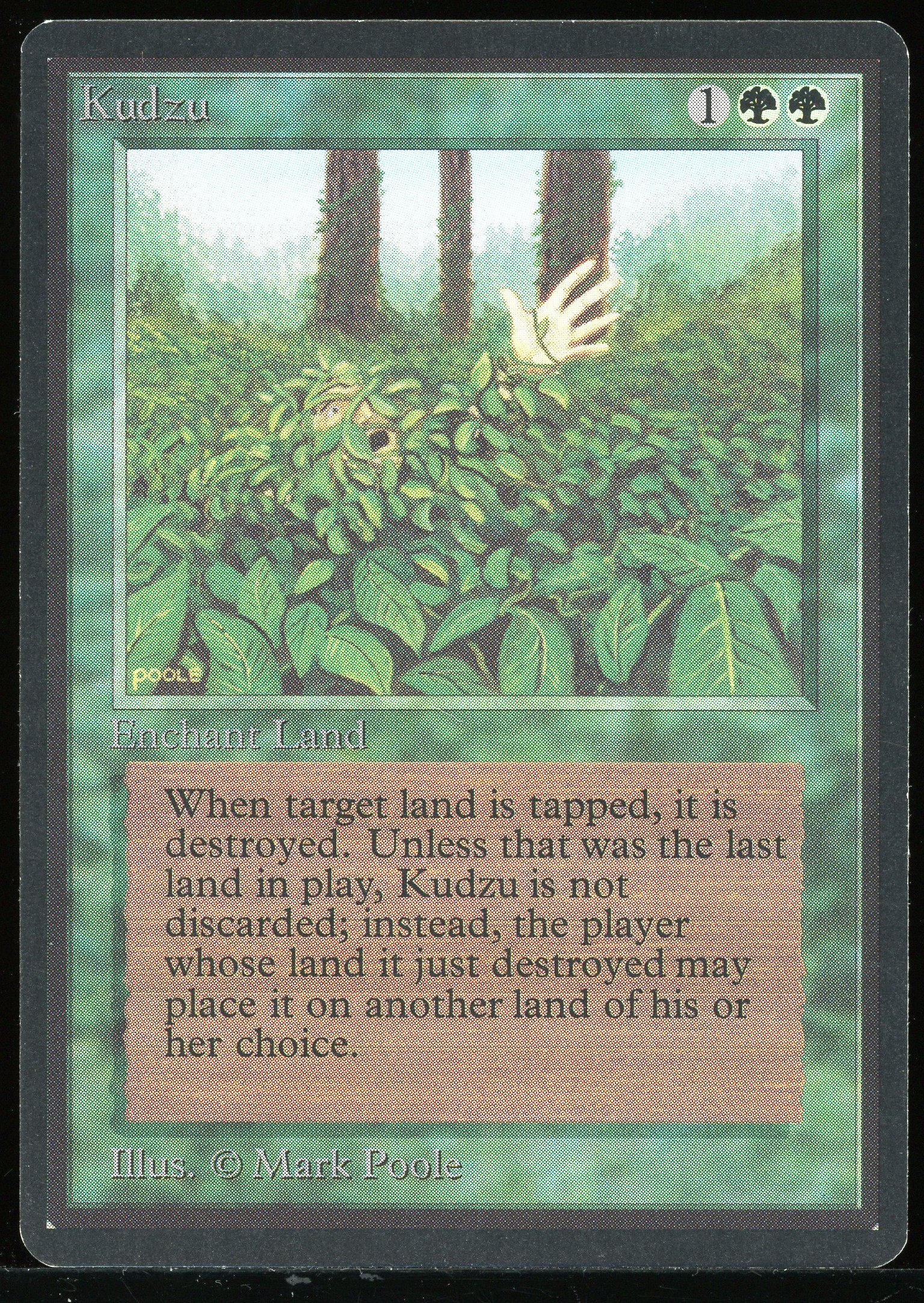 Kudzu - LP _13979
