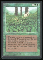 Kudzu - LP _13979