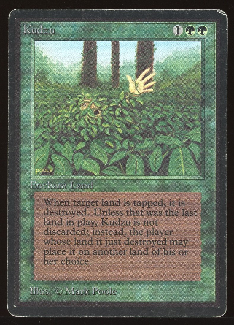 Kudzu - HP _10274
