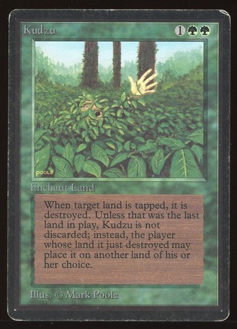 Kudzu - HP _10274