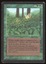 Kudzu - HP _10274