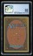 CGC 8.5 Fastbond -174