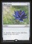 Black Lotus - NM _12982