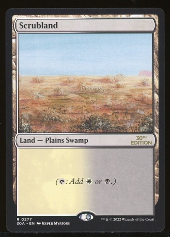 Scrubland - NM _12987