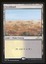 Scrubland - NM _12987