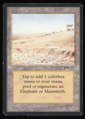 Elephant Graveyard - HP _14296