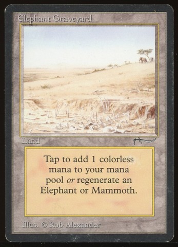Elephant Graveyard - MP _9495