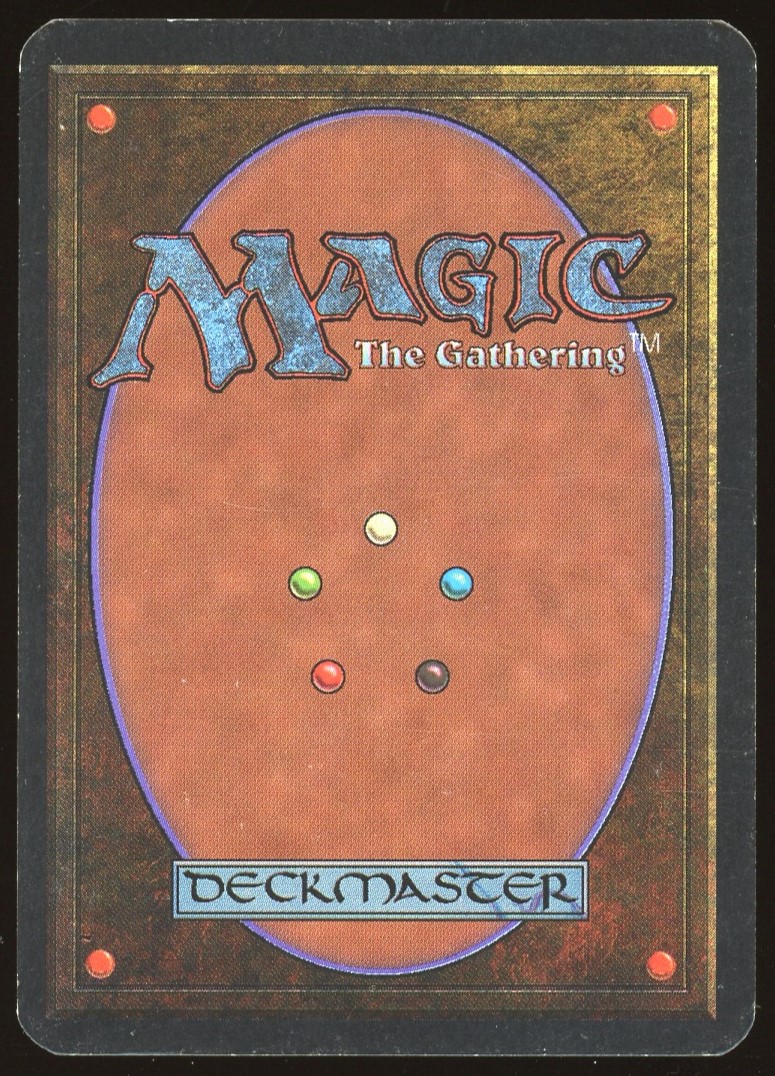 Dingus Egg - LP _C1563
