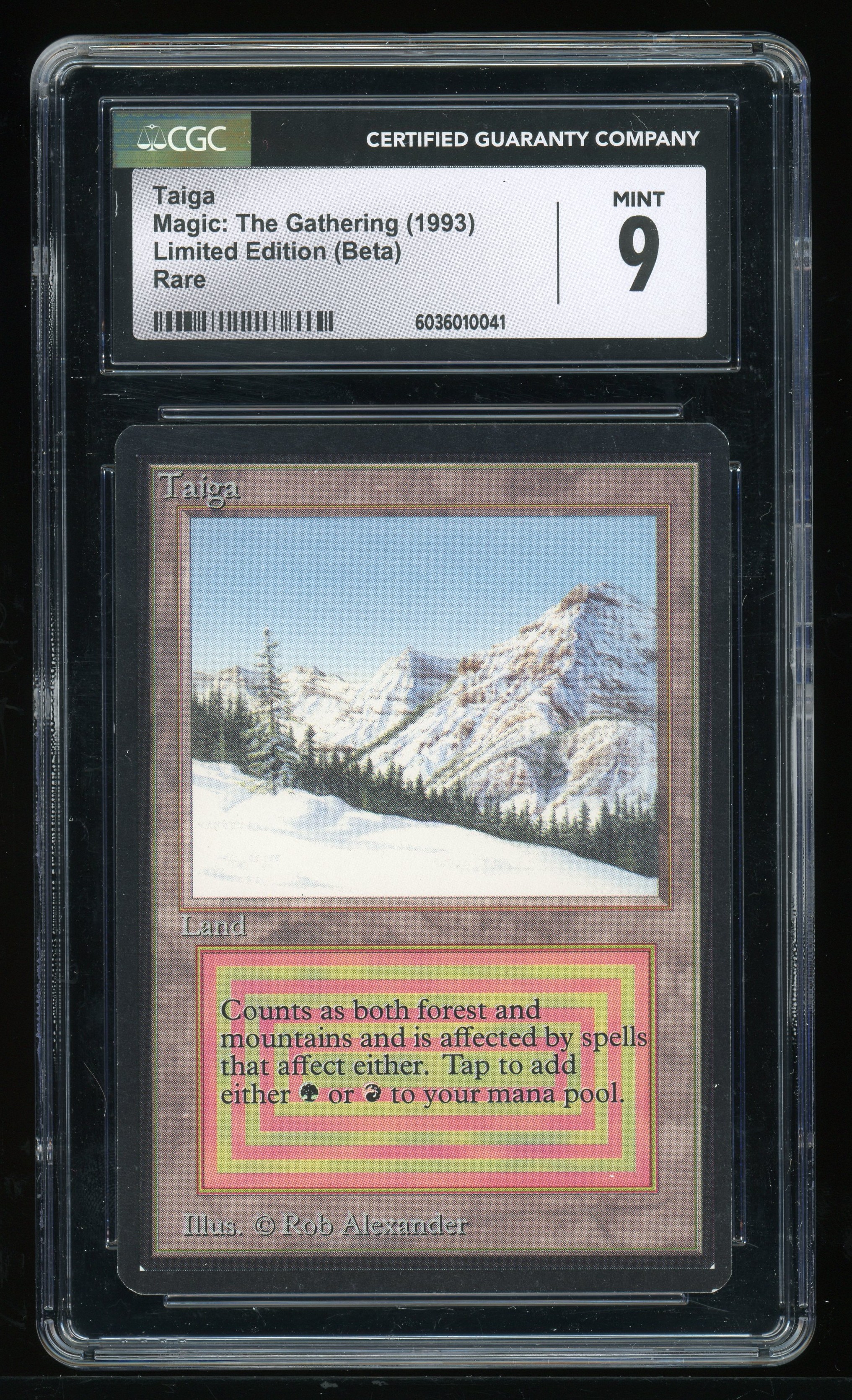 CGC 9 Taiga -041