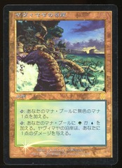 Yavimaya Coast - LP Foil Japanese _14497