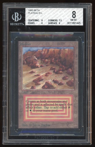 BGS 8 Plateau -445
