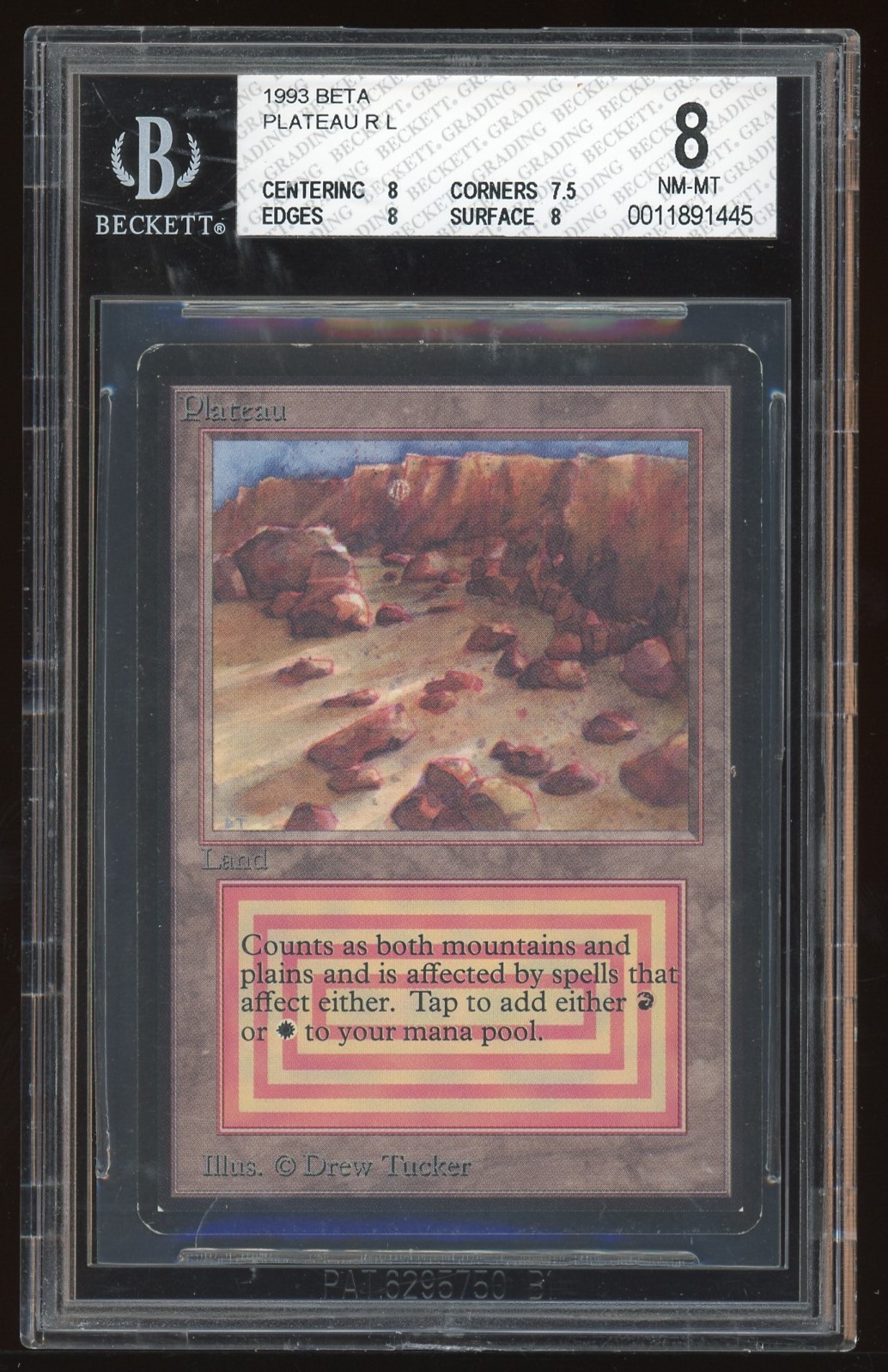 BGS 8 Plateau -445