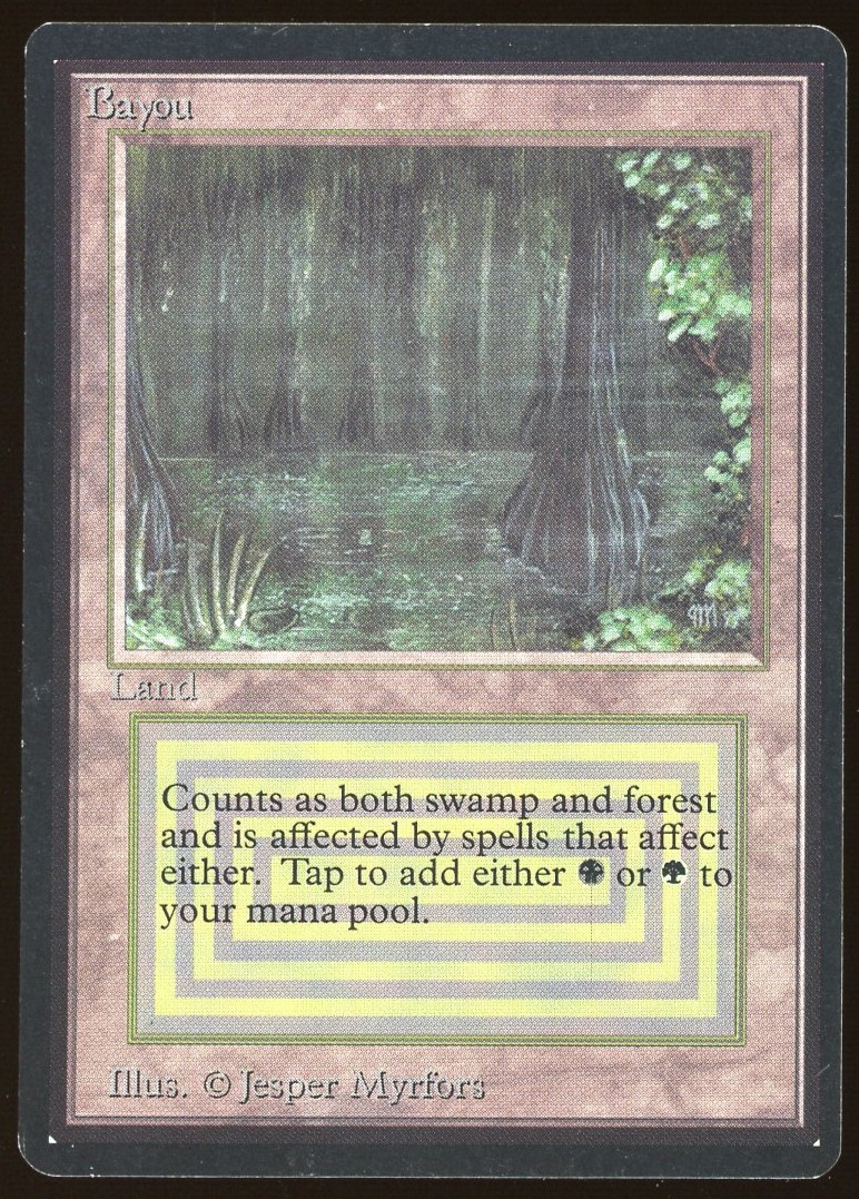 Bayou - NM _12686