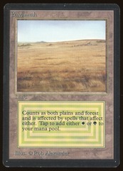 Savannah - MP _12049