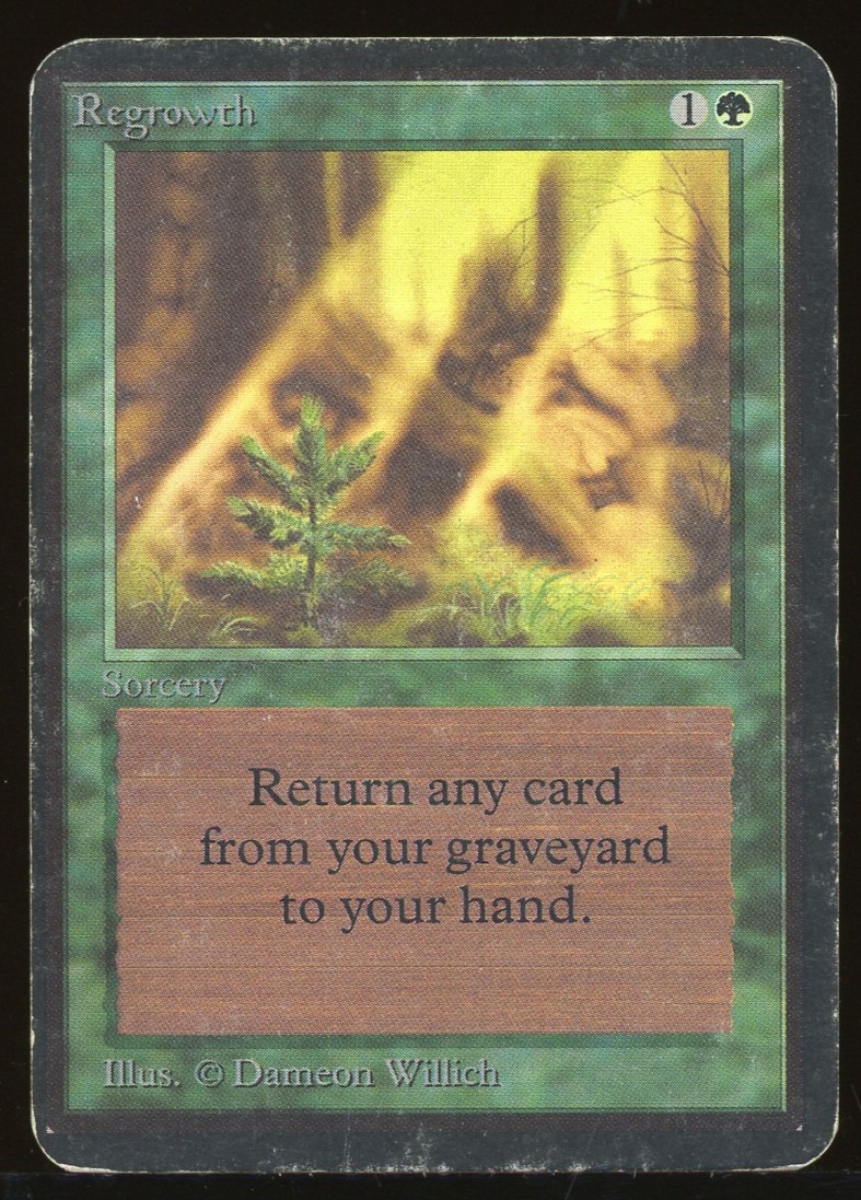 Regrowth - HP _13202