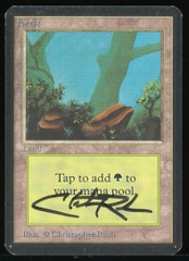 Forest (A) - MP Signed _A3623