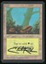 Forest (A) - MP Signed _A3623