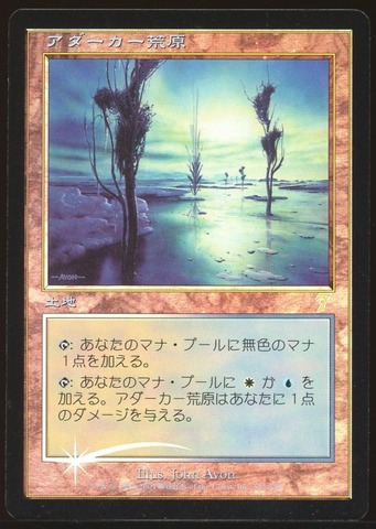 Adarkar Wastes - NM Foil Japanese _12375