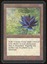 Black Lotus - MP _T1014