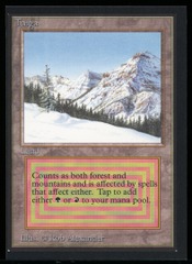 Taiga - NM _13926