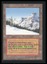 Taiga - NM _13926
