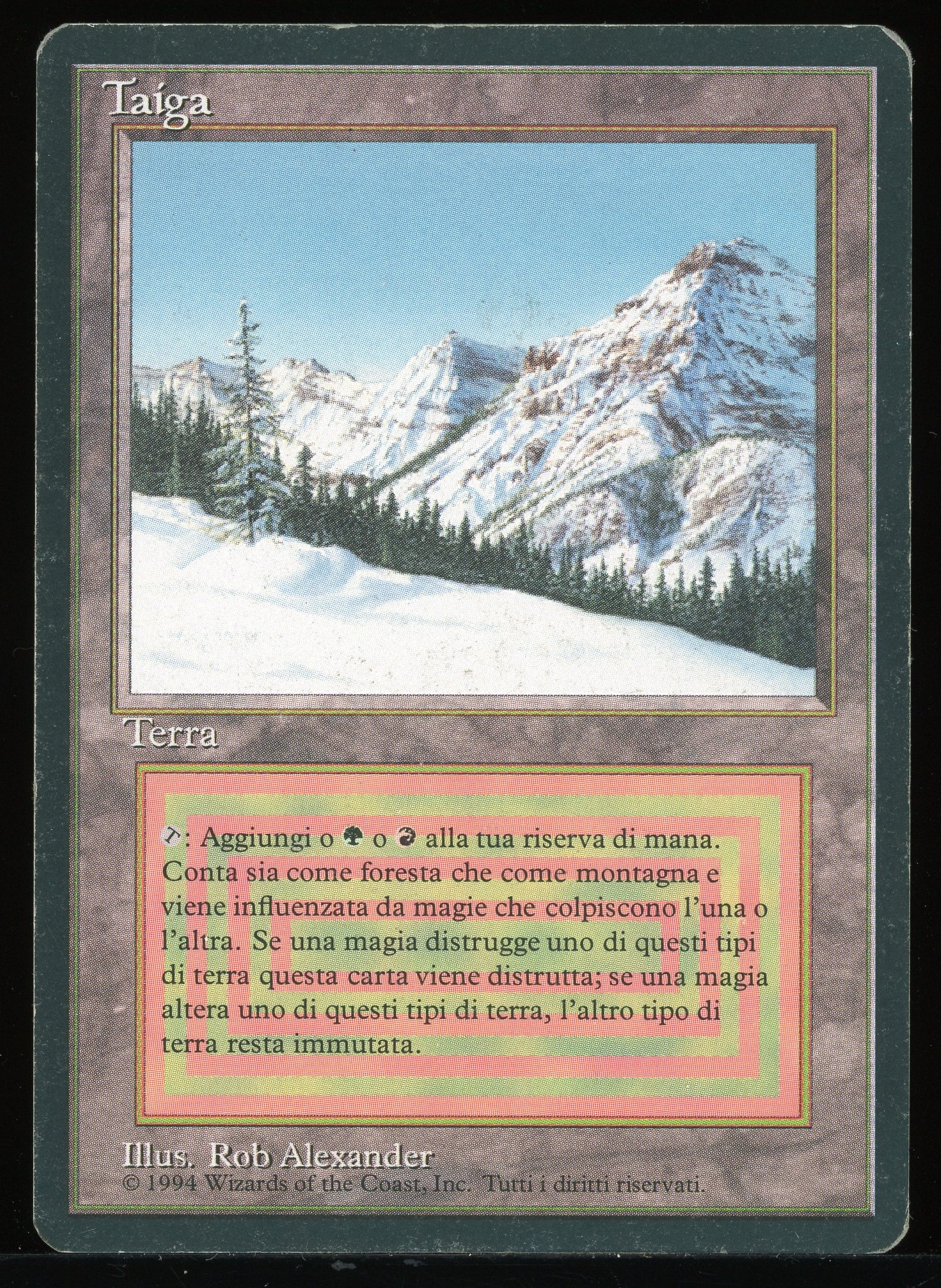 Taiga - MP Italian _13790