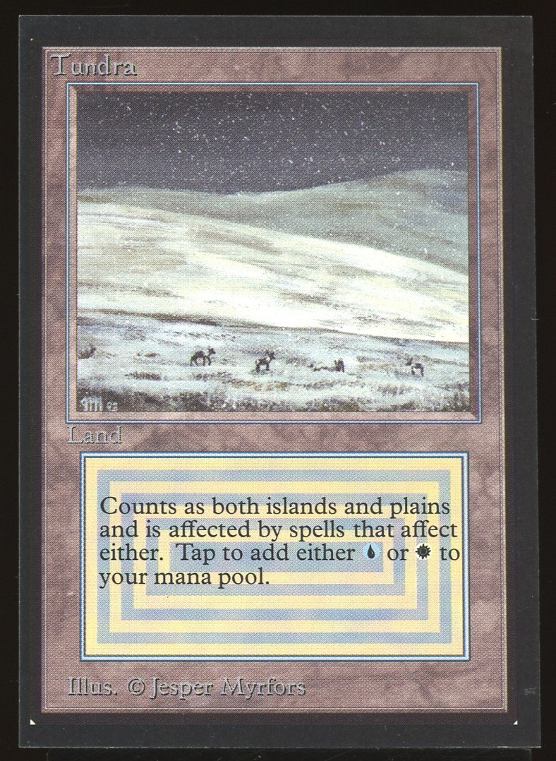 Tundra - NM _12579