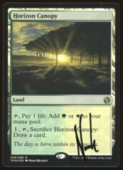 Signed Foil Horizon Canopy _A1385