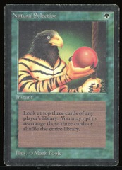Natural Selection - HP _13528