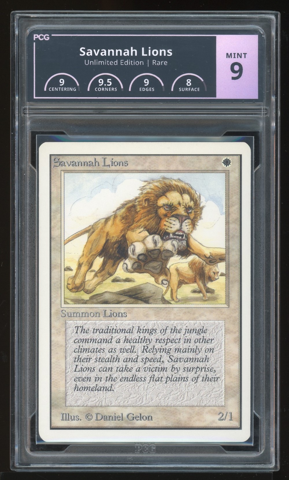PCG 9 Savannah Lions -643