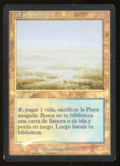 Flooded Strand - HP Foil Spanish _14465