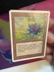 Black Lotus - Damaged, Very Soft, Married Back _T1030