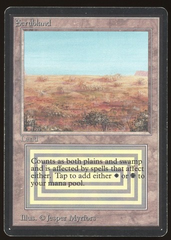 Scrubland - MP _11265