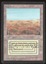 Scrubland - MP _11265