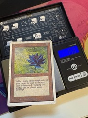 Black Lotus - Damaged, Very Soft, Married Back _T1030