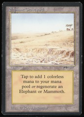 Elephant Graveyard - MP _13320